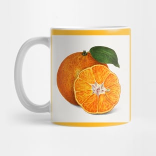 orange fresh fruits juicy summer tropical Mug